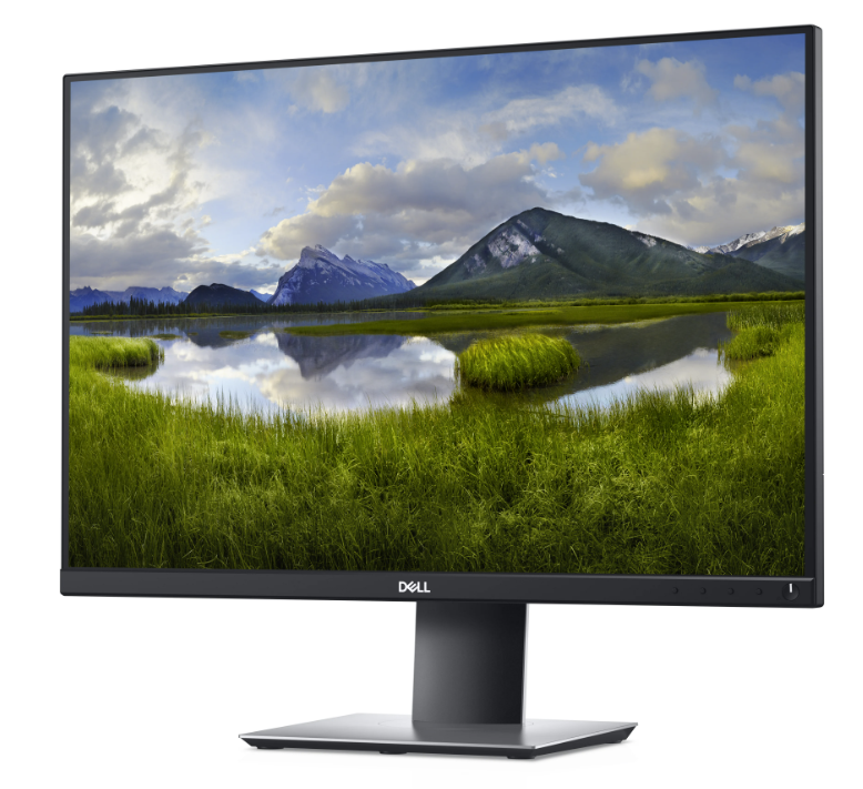 Monitor Dell P2421