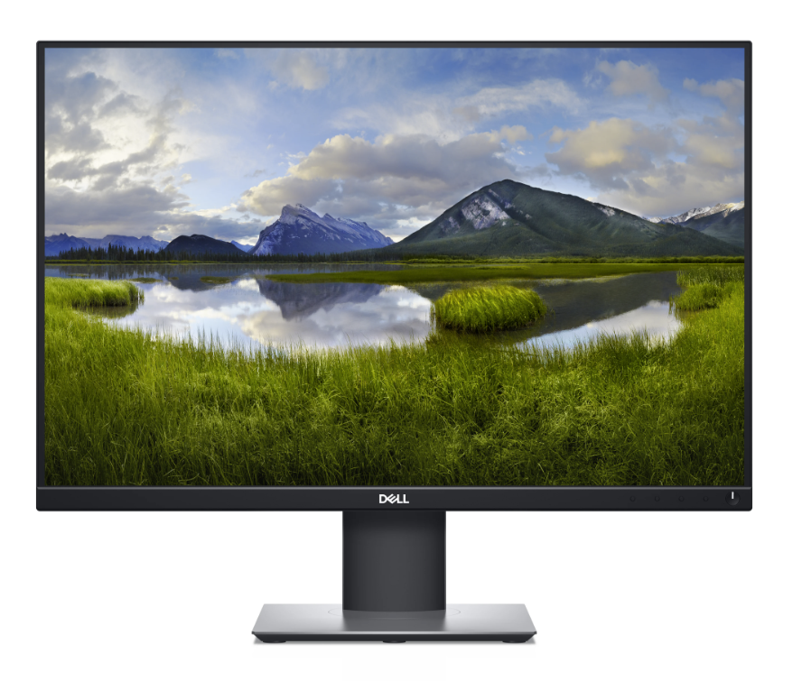 Monitor Dell P2421 - ustawienie ekranu