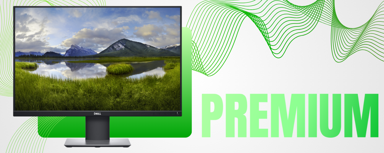 Złącza monitora Dell P2421