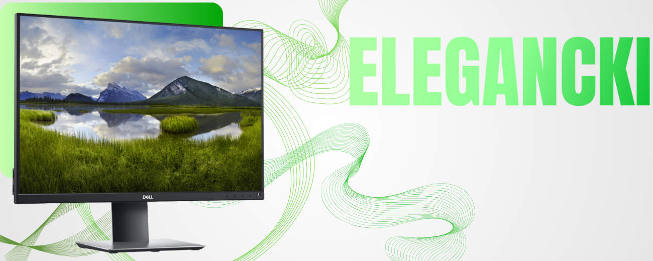 Zalety i wady monitora Dell P2421