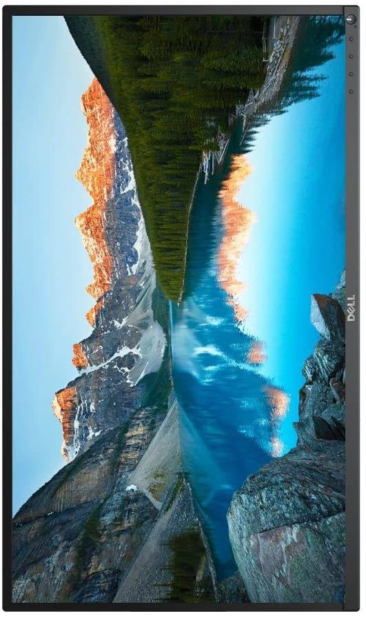 Monitor DELL P2317H 3