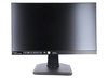 Monitor LCD 24" IIYAMA PL2492H Black