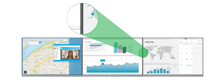 Monitor LED 24" EIZO EV2450
