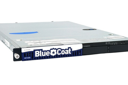 Blue Coat AV1200