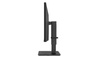 Monitor LED 34" LG 34BN770-B