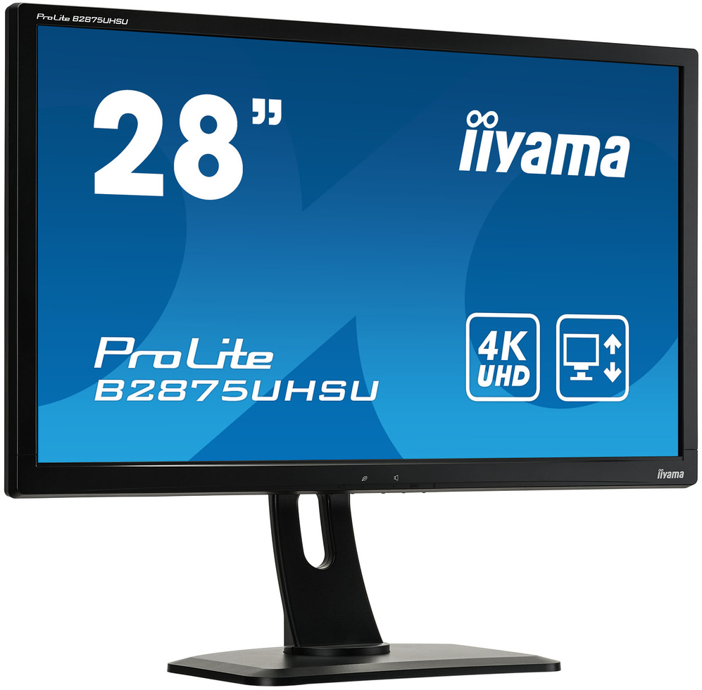 iiyama ProLite B2875UH