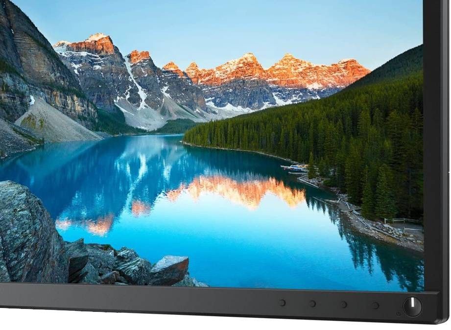 Monitor DELL P2317H 2