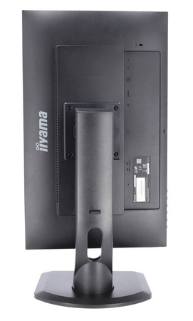 Monitor LCD 24" IIYAMA PL2492H Black