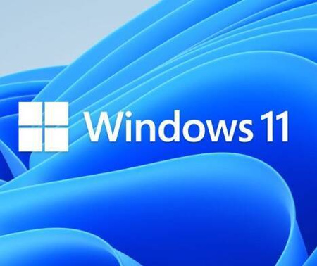 Notebook Dell Latitude 5510 i5-10310U 16G 512G W10