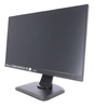 Monitor LCD 24" IIYAMA PL2492H Black