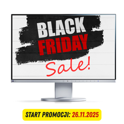 Monitor LCD 24" EIZO EV2450