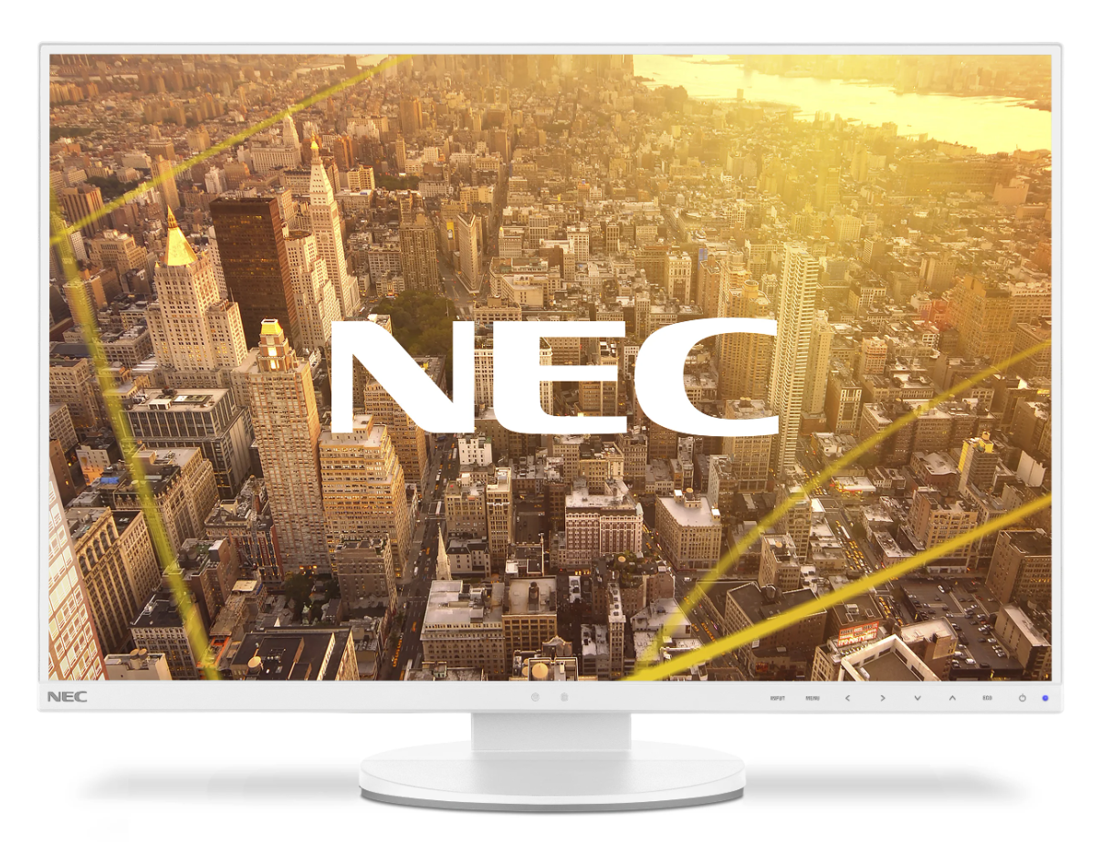 Monitor NEC EA245WMi-2 White