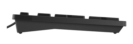 Zestaw DELL mysz MS116 + klawiatura KB216